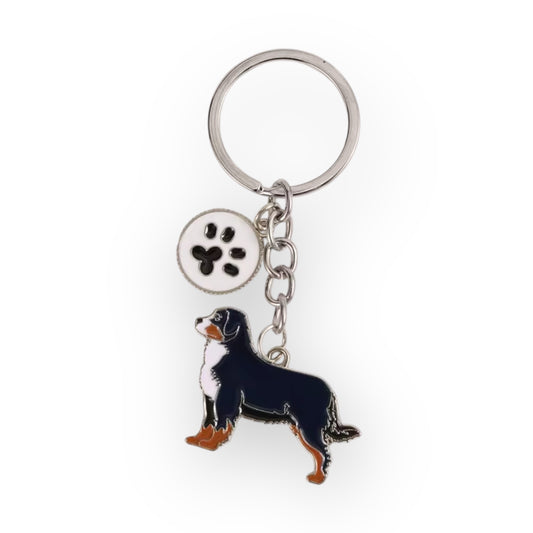 The Bernese Mountain Dog Key