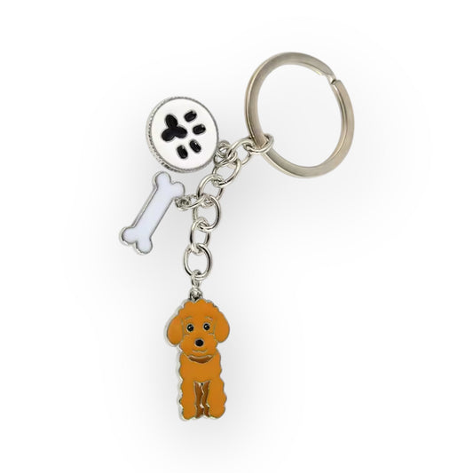 The Cavoodle Key (Teddy)