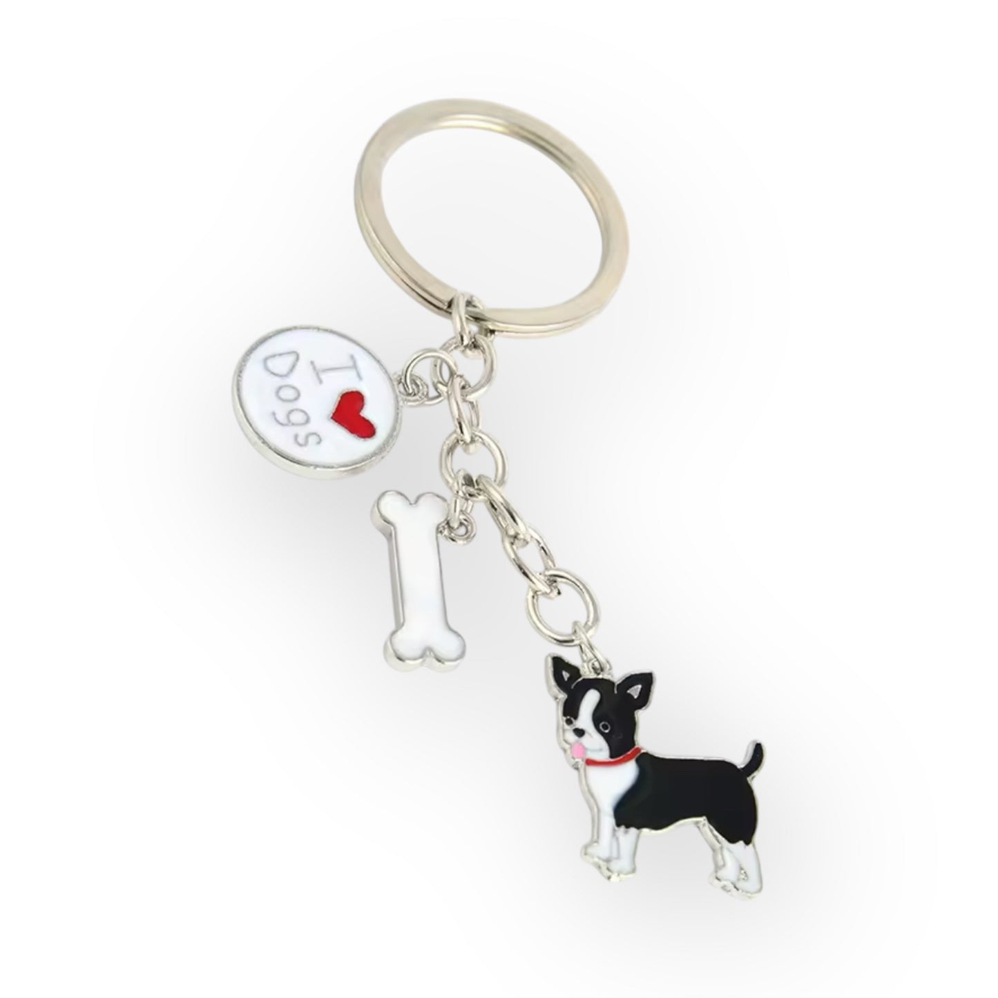 The Chihuahua Key